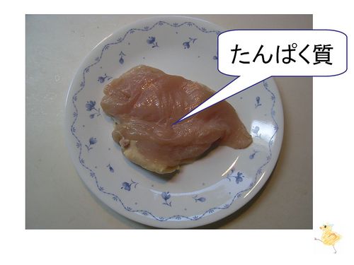 01460.jpg