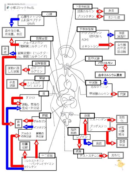ファイル:03548.jpg