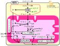 2013年4月18日 (木) 10:28時点における版のサムネイル
