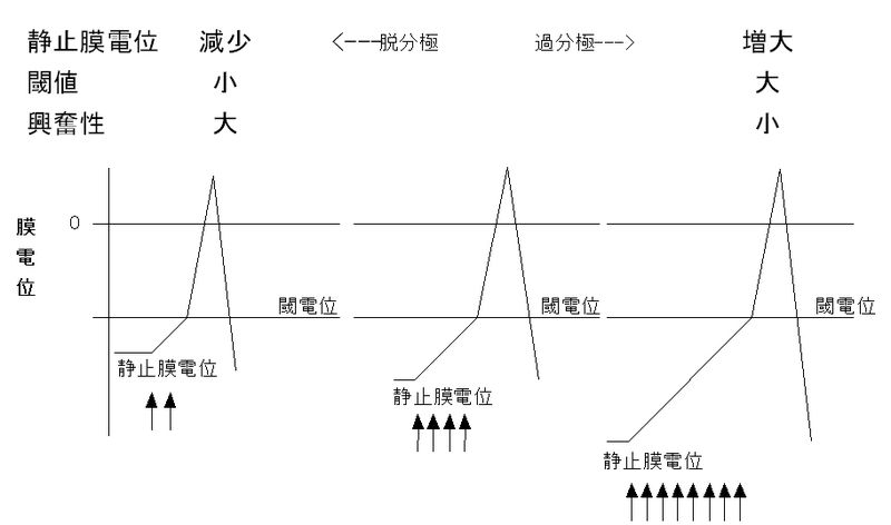 ファイル:00237.jpg