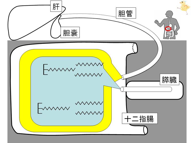 ファイル:01450.jpg