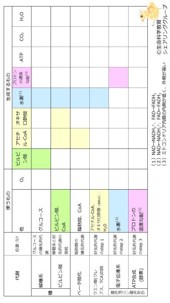 ファイル:EnergyMetabolismSummaryTableIntro-wb.jpg