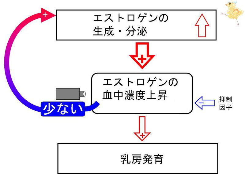 ファイル:02430.jpg