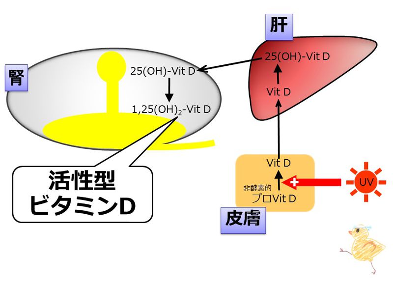 ファイル:03844.jpg