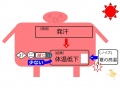 2015年3月11日 (水) 15:50時点における版のサムネイル