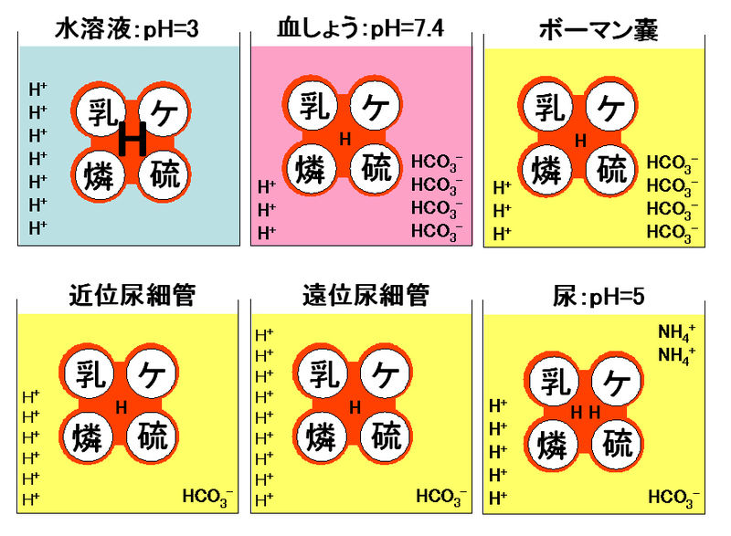 ファイル:00631.jpg