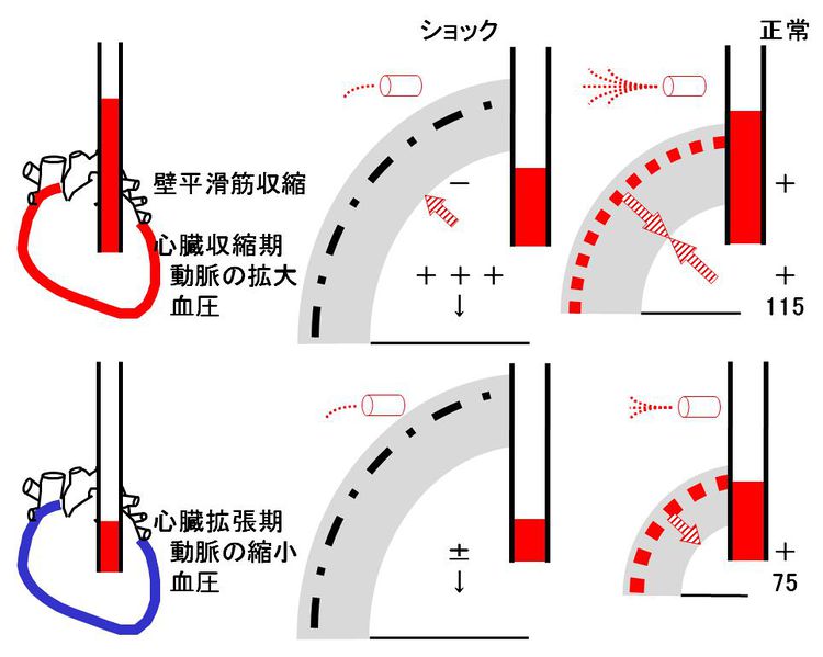 ファイル:01413.jpg