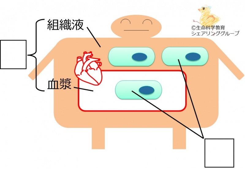 ファイル:04709-wb.jpg