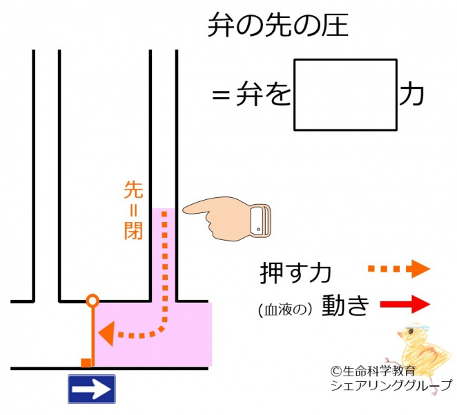 ファイル:Downside-valve-pressure-wb.jpg