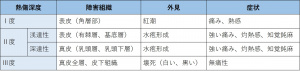 表-皮膚爪-視診1-熱傷深度.jpg
