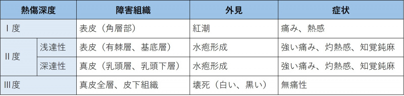 ファイル:表-皮膚爪-視診1-熱傷深度.jpg