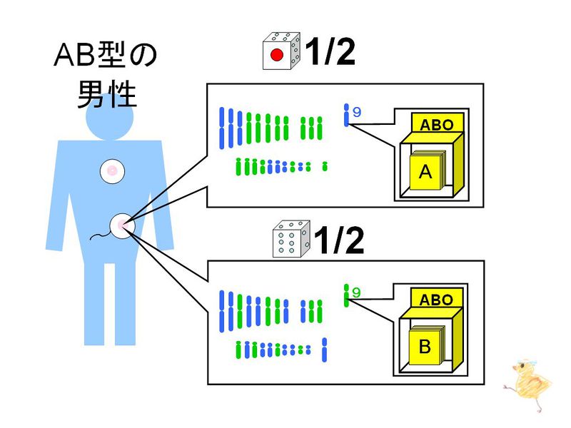ファイル:01207.jpg