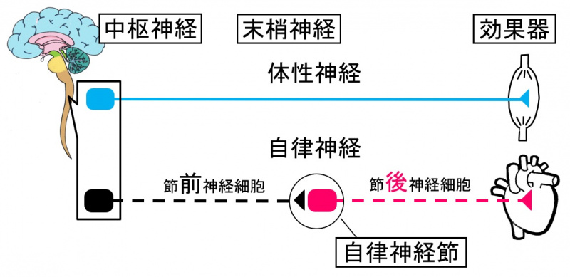ファイル:02515.jpg