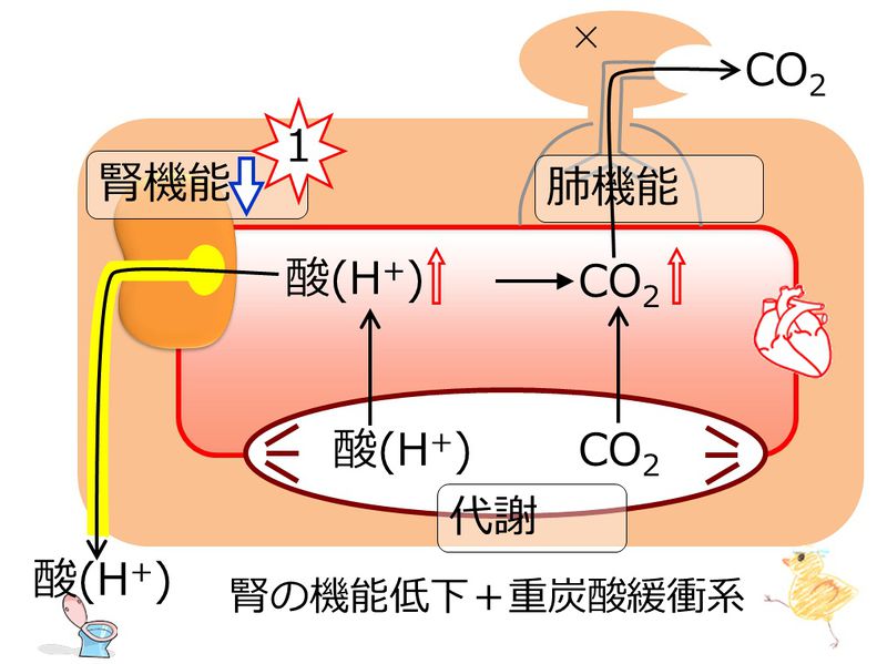 ファイル:04381.jpg