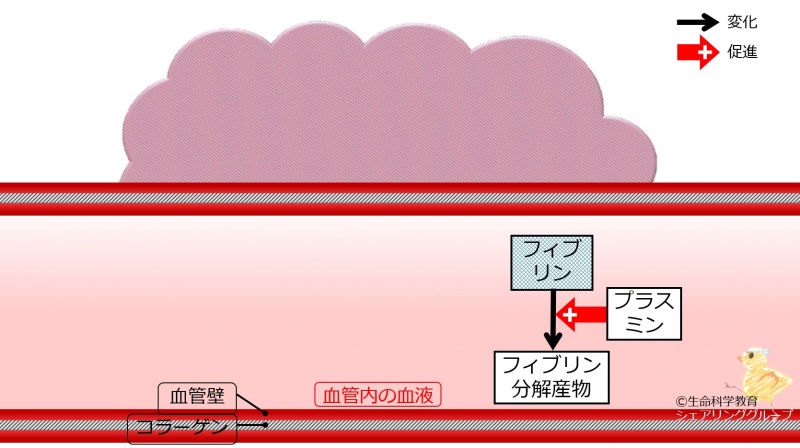 ファイル:04704.jpg