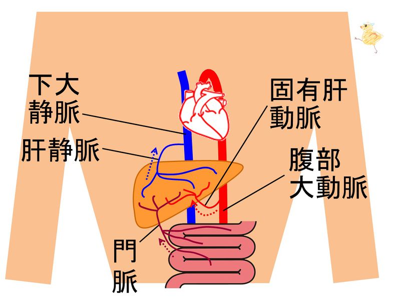 ファイル:03882.jpg