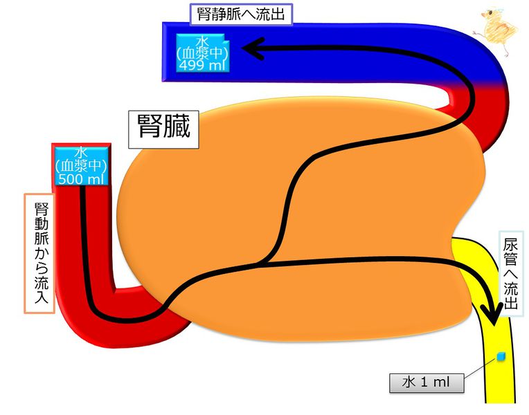 ファイル:04260.jpg