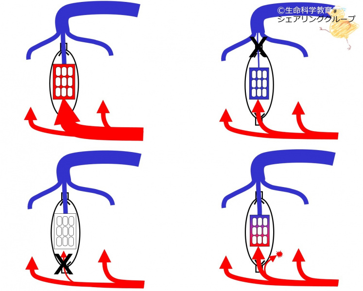 ファイル:02496-wb.jpg