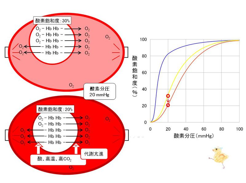 ファイル:03306.jpg
