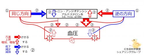 /wiki/images/thumb/6/6a/RAAbasicControlSummary.jpg/500px-RAAbasicControlSummary.jpg
