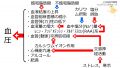 2023年9月11日 (月) 21:28時点における版のサムネイル