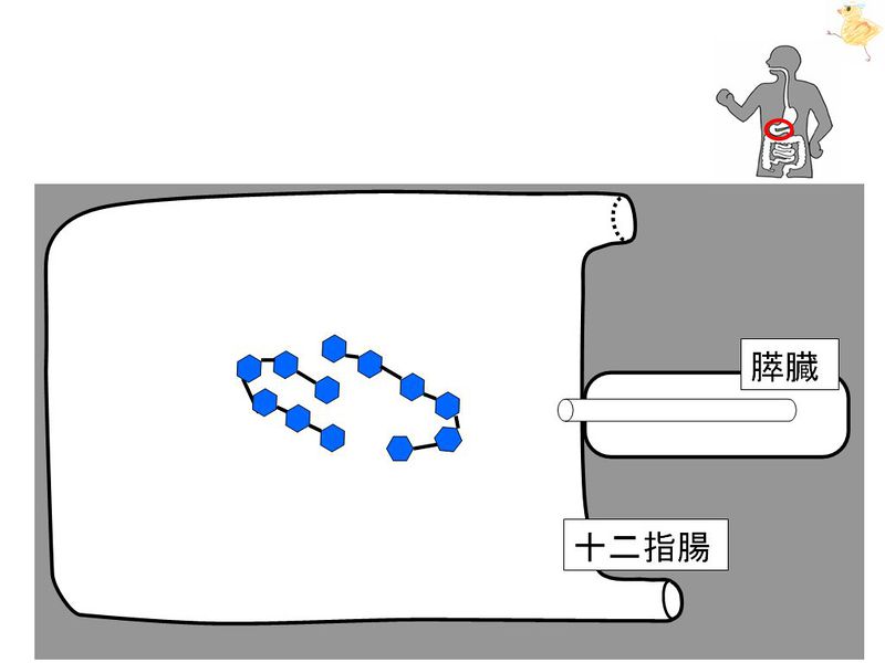 ファイル:01445.jpg