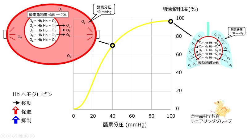 ファイル:03304.jpg