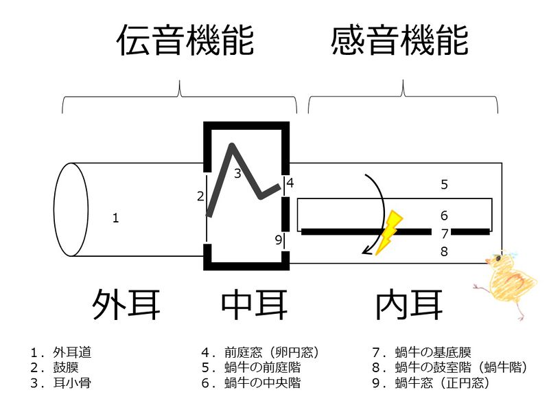 ファイル:04220.jpg