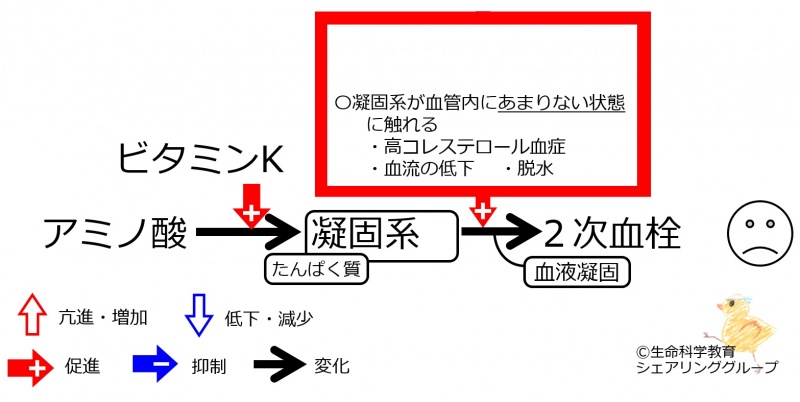 ファイル:VitK-bad-coagulation.jpg
