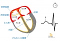 2015年2月25日 (水) 11:27時点における版のサムネイル
