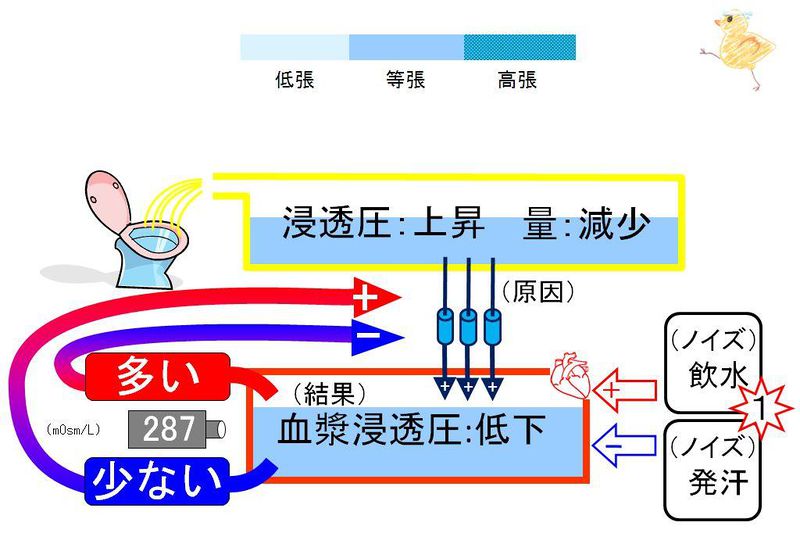 ファイル:02887.jpg