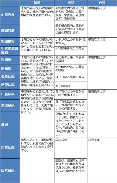ファイル:04057.jpg