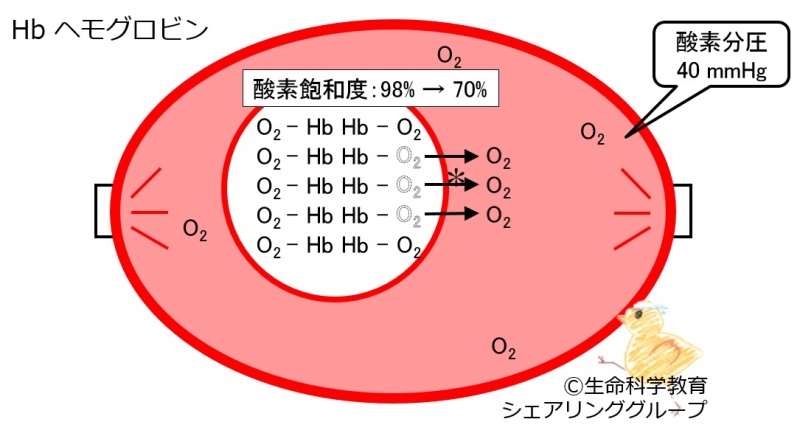 ファイル:04142.jpg