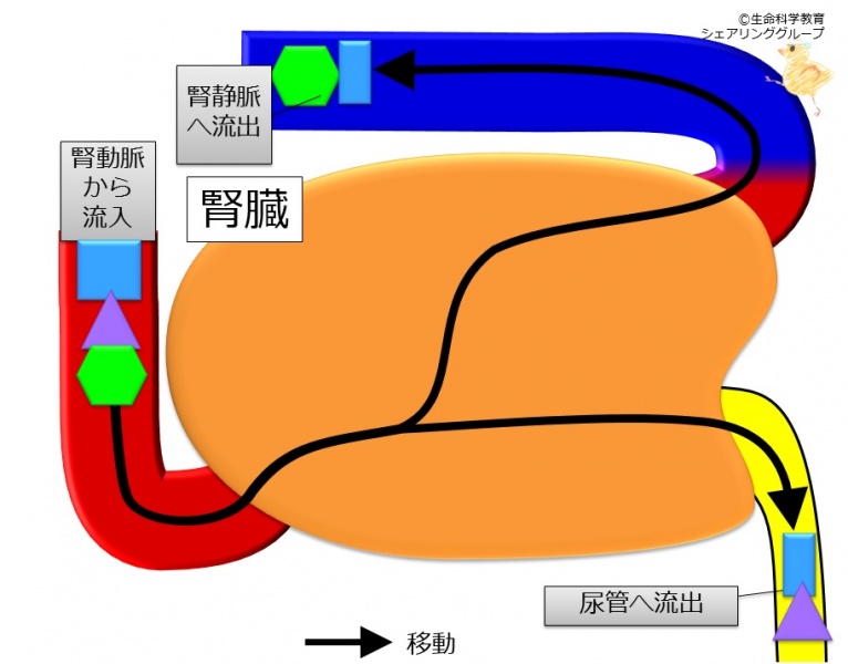 ファイル:04288.jpg