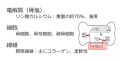 2024年1月16日 (火) 10:32時点における版のサムネイル