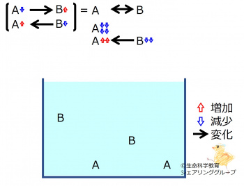 ChemicalEquilibriumChangesByDecInMolA-3.jpg