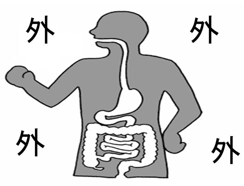 ファイル:01466.jpg