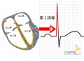 2015年3月4日 (水) 16:08時点における版のサムネイル