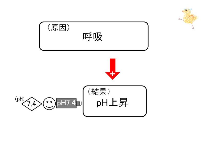 ファイル:03387.jpg