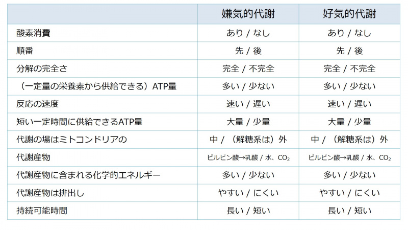 ファイル:04441-wb.jpg