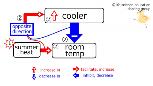 DuringBasicFeedbackCoolerSummer-Eng.jpg