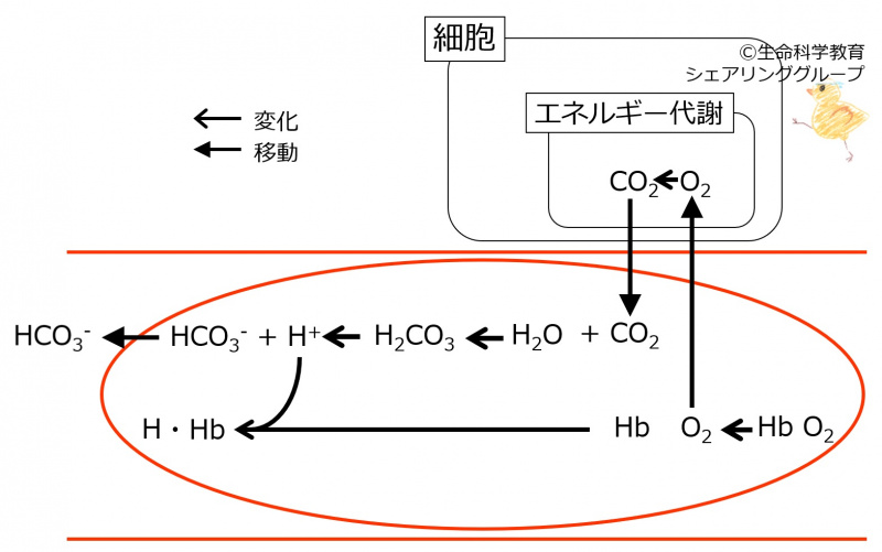 ファイル:00377.jpg