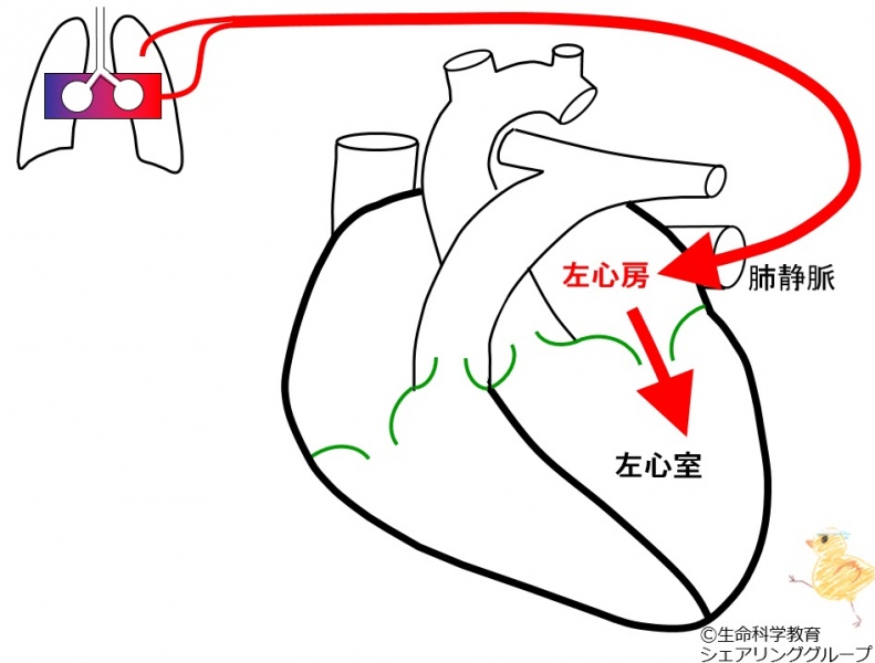 ファイル:01712.jpg