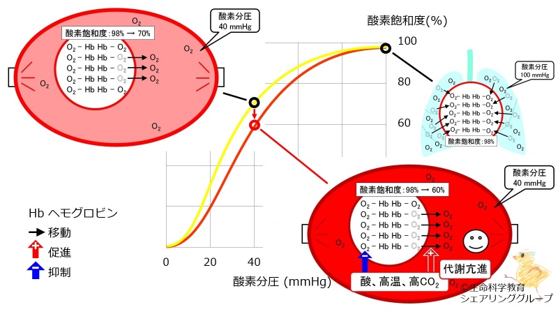 ファイル:03305.jpg