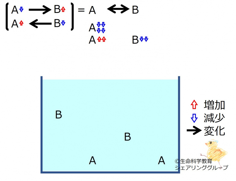 ファイル:ChemicalEquilibriumChangesByDecInMolA-3-wb.jpg