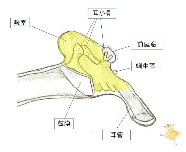 ファイル:02407.jpg