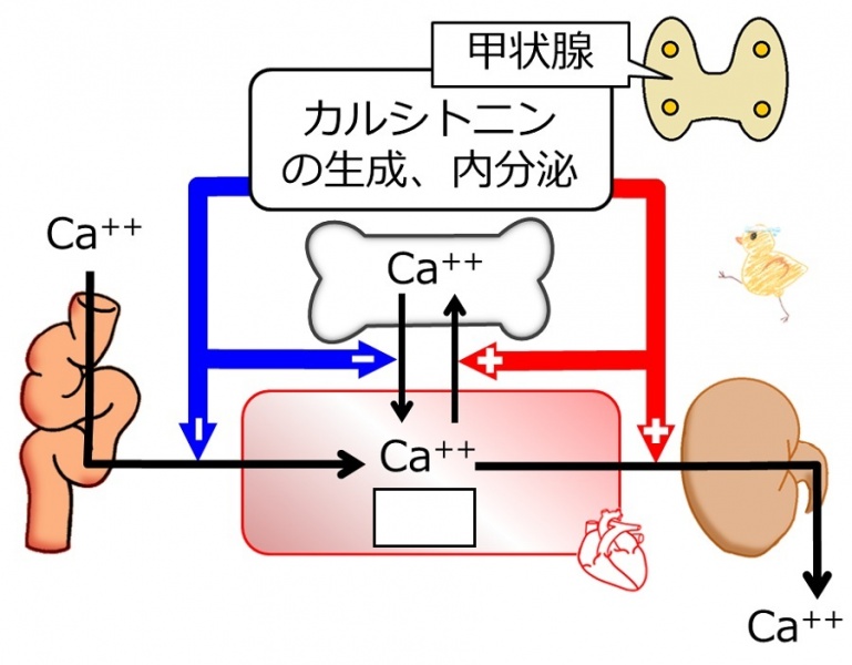 ファイル:03797-wb.jpg