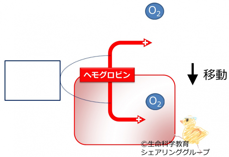 ファイル:03896-wb.jpg