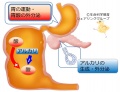 2016年12月21日 (水) 10:07時点における版のサムネイル