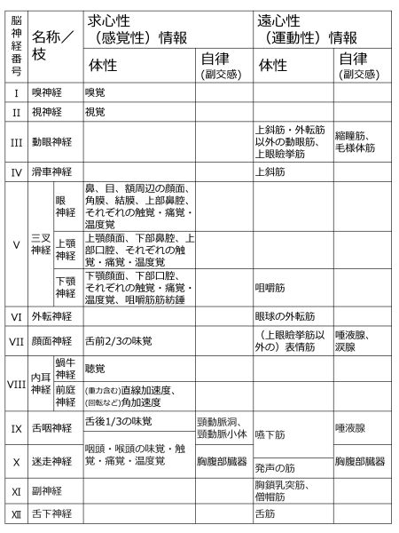 ファイル:CranialNervesBasicTableJpn.jpg